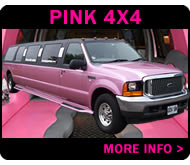 16 seater in pink